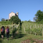 Chiesa di Sant'Alessandro a Cascina Fontana